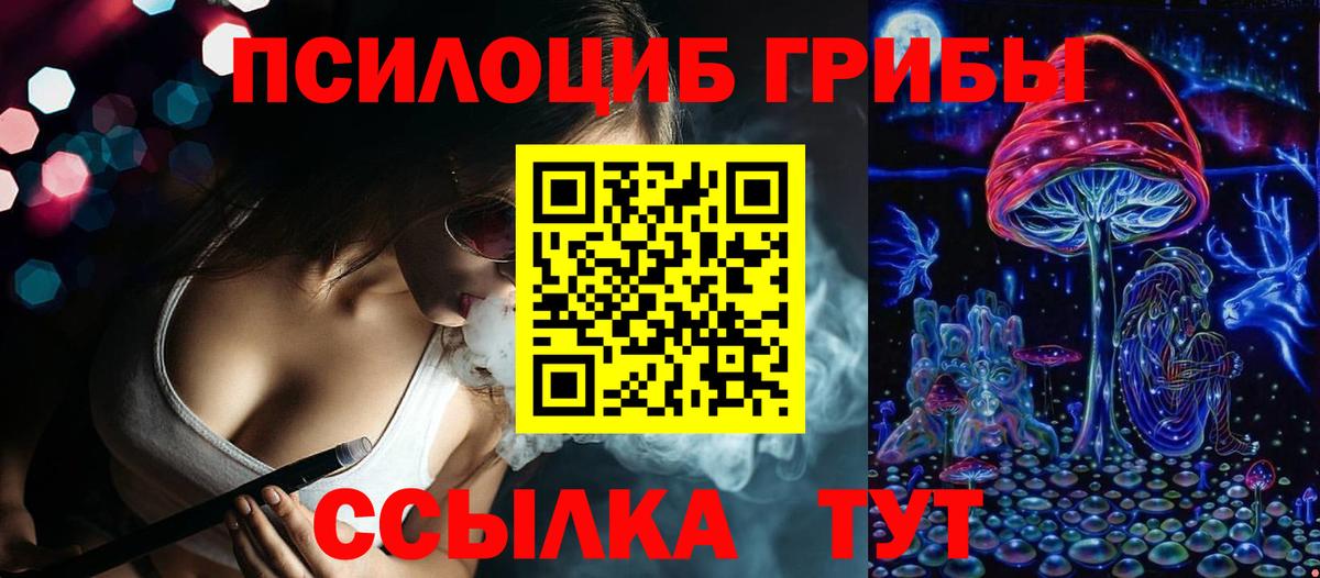 Псилоцибиновые грибы прущие грибы  Вход с VPN  Псилоцибиновые грибы Magic Shrooms  как найти наркотики  Котовск 
